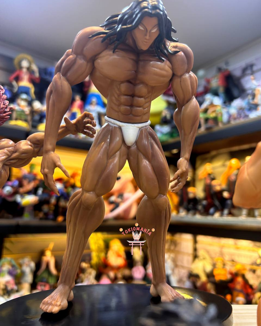 Colección Baki X5