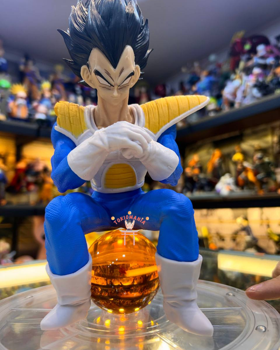 Figura Vegeta