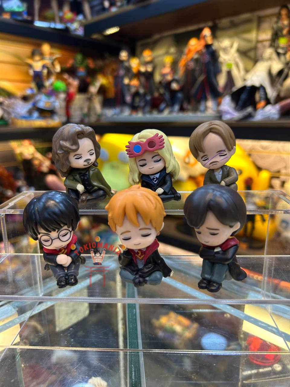 Colección Harry Potter x6
