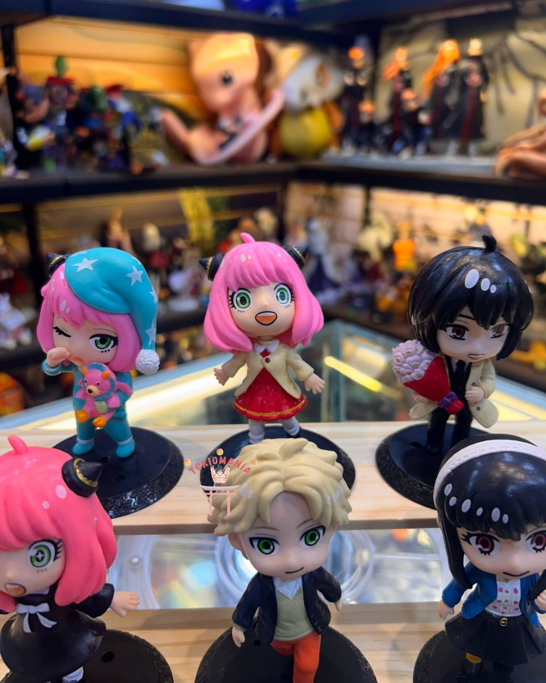 Colección Spy Family X6