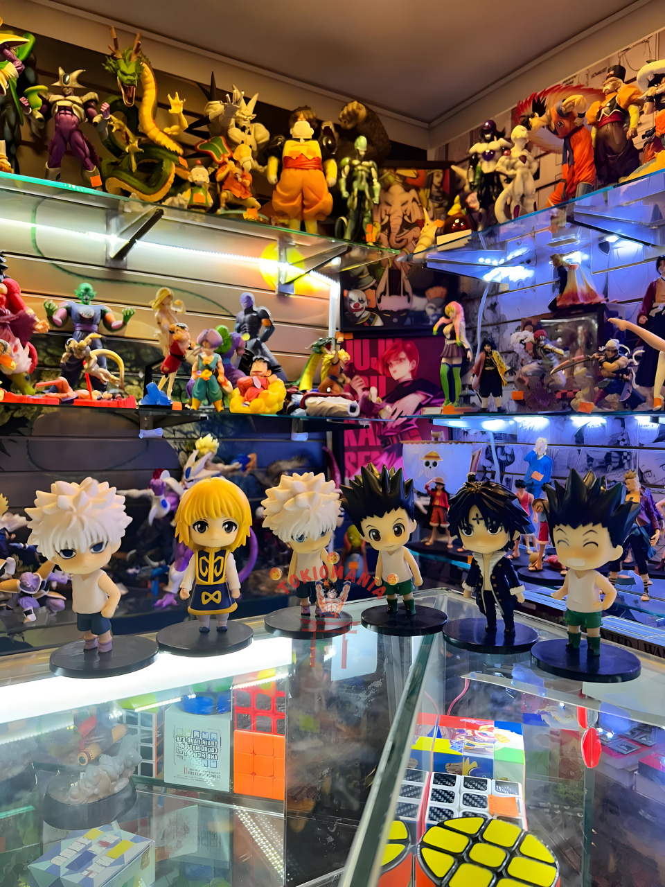 Colección Hunter x Hunter x6