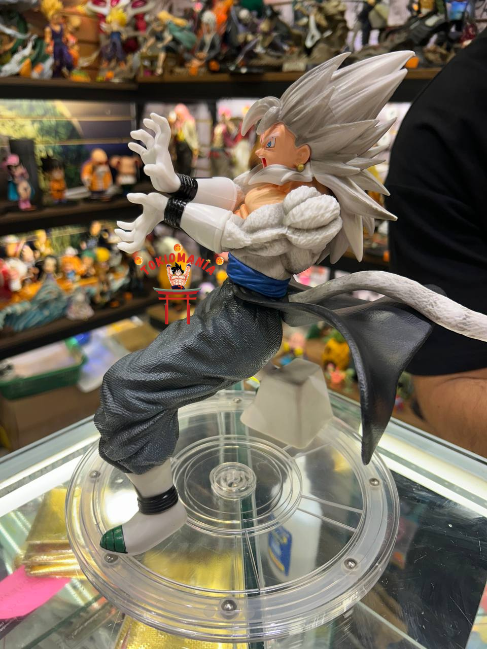 Figura Vegetto