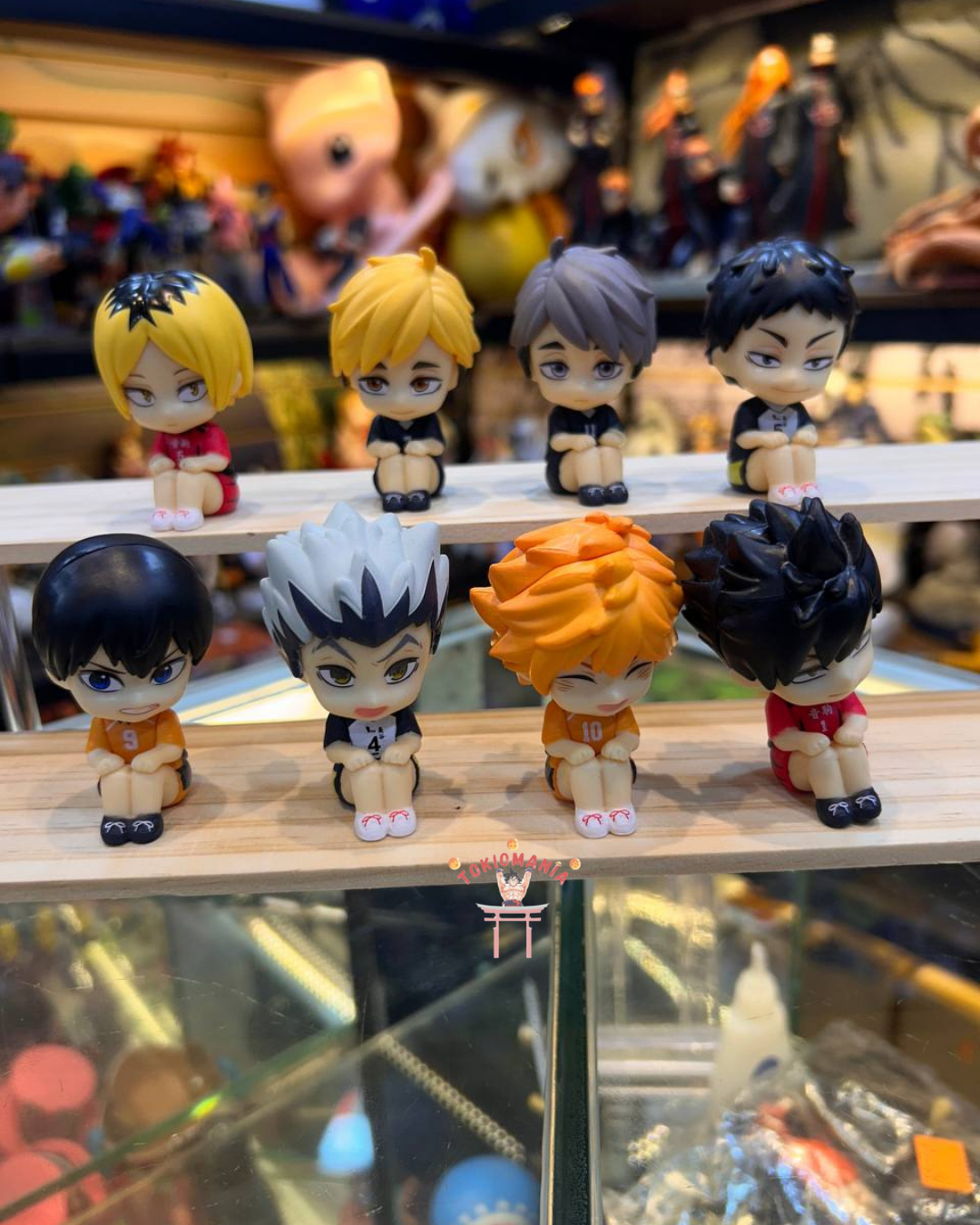 Colección Haikyu X8