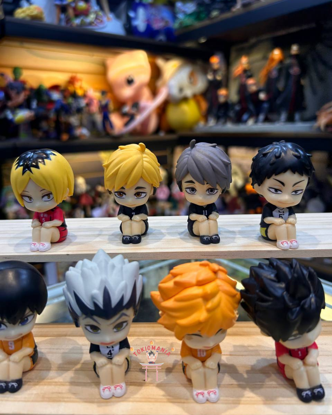 Colección Haikyu X8
