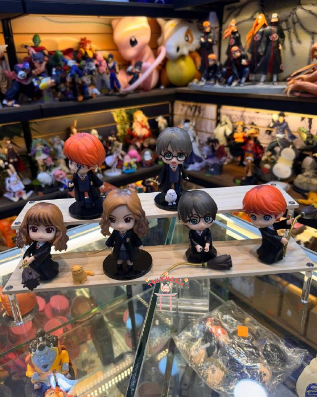 Colección Harry Potter X6