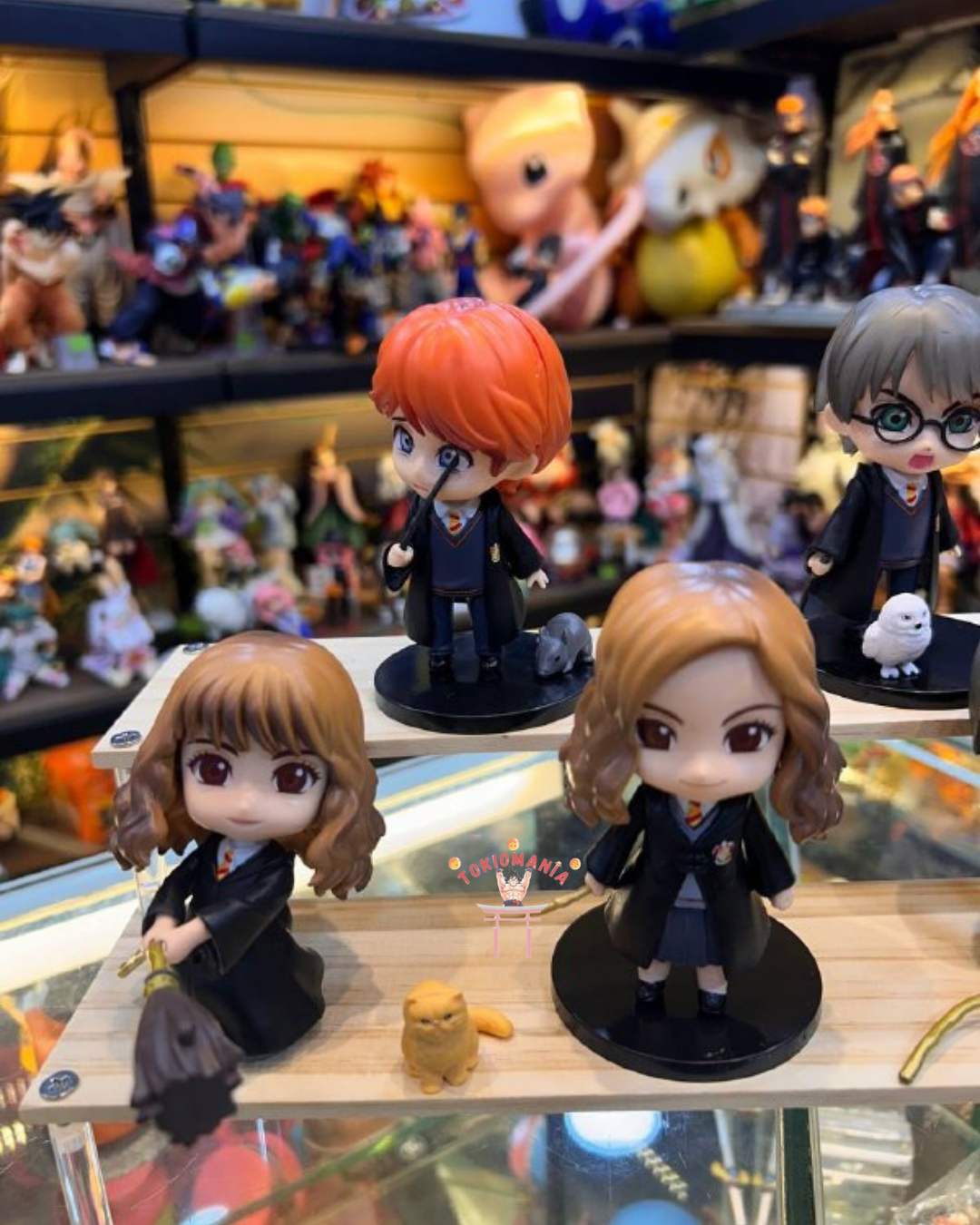 Colección Harry Potter X6