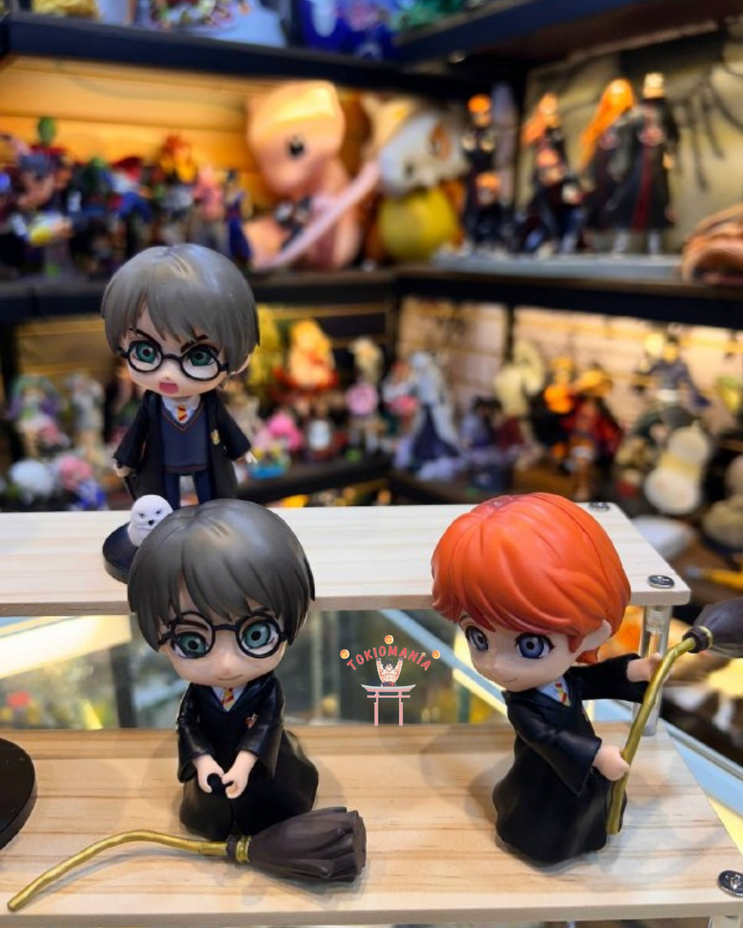 Colección Harry Potter X6