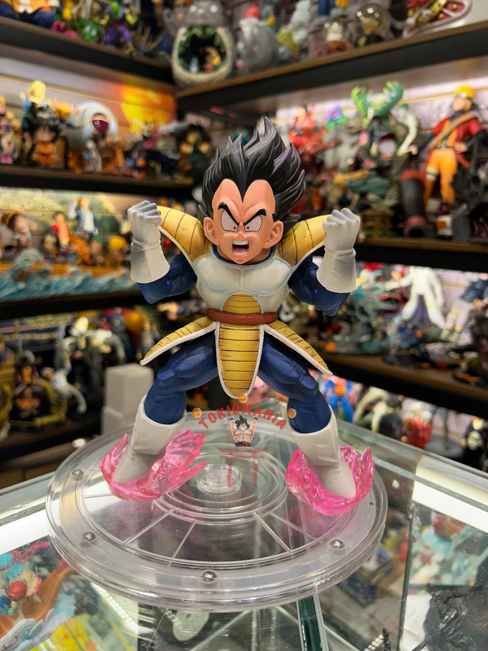 Figura Vegeta