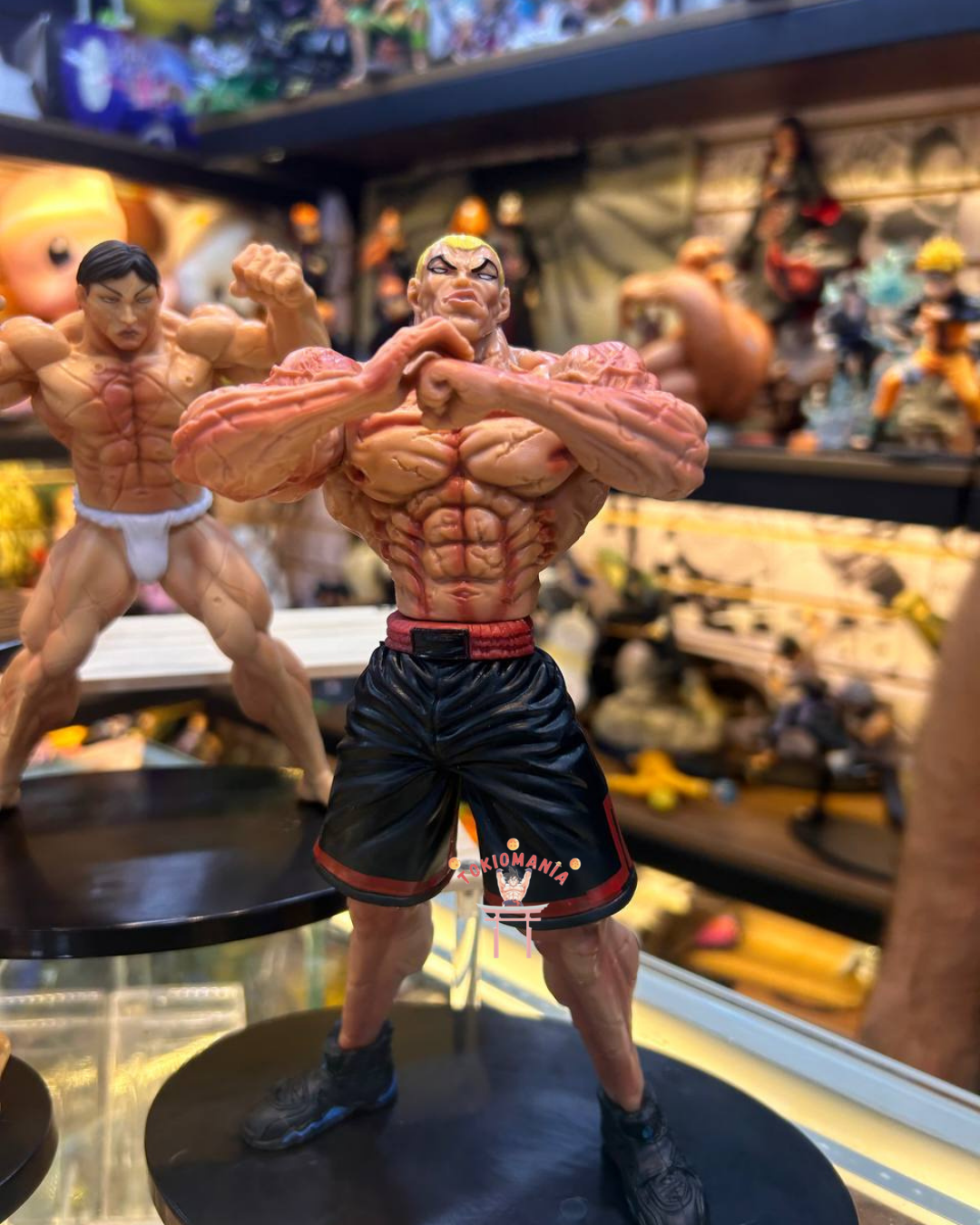 Colección Baki X5