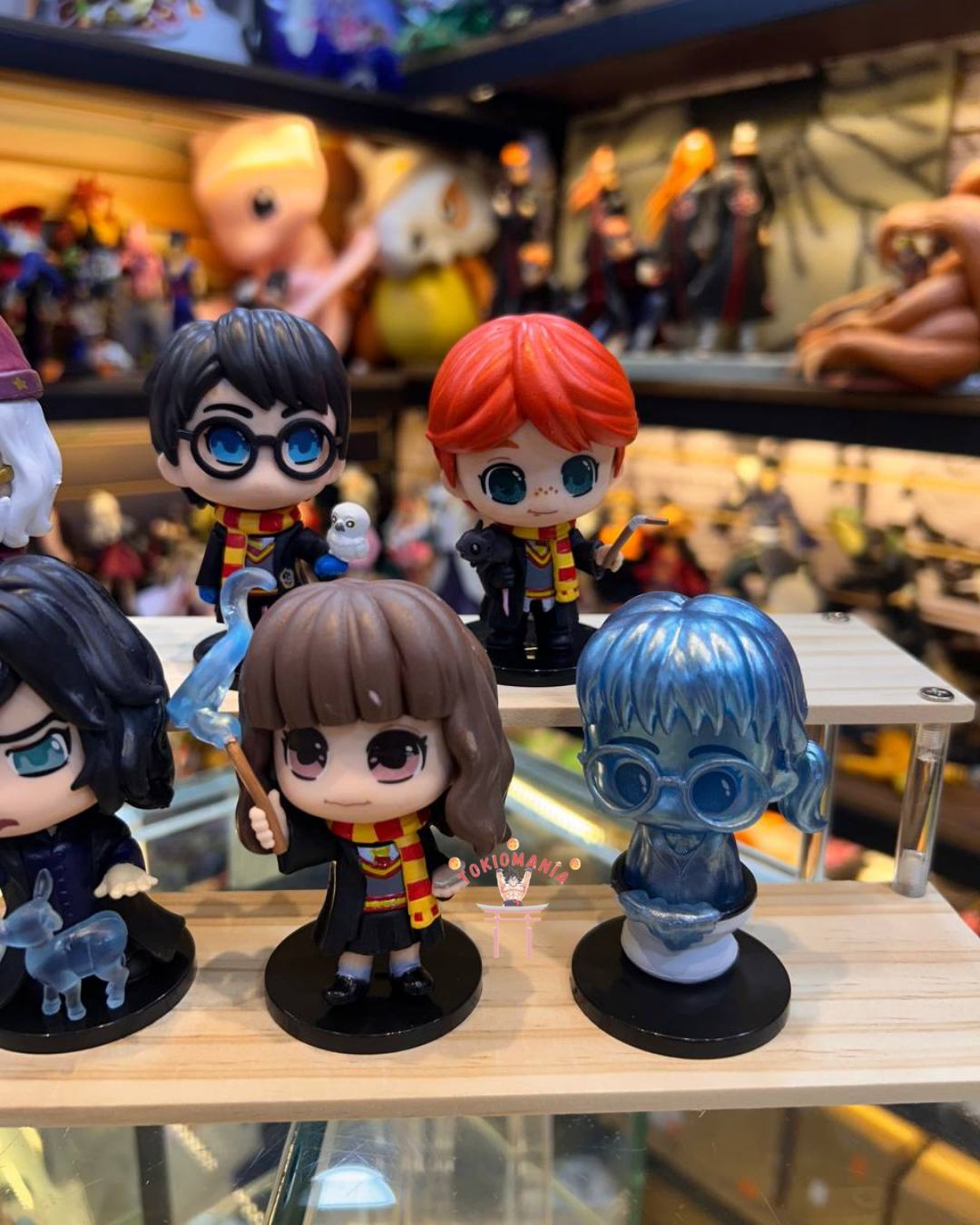 Colección Harry Potter X8