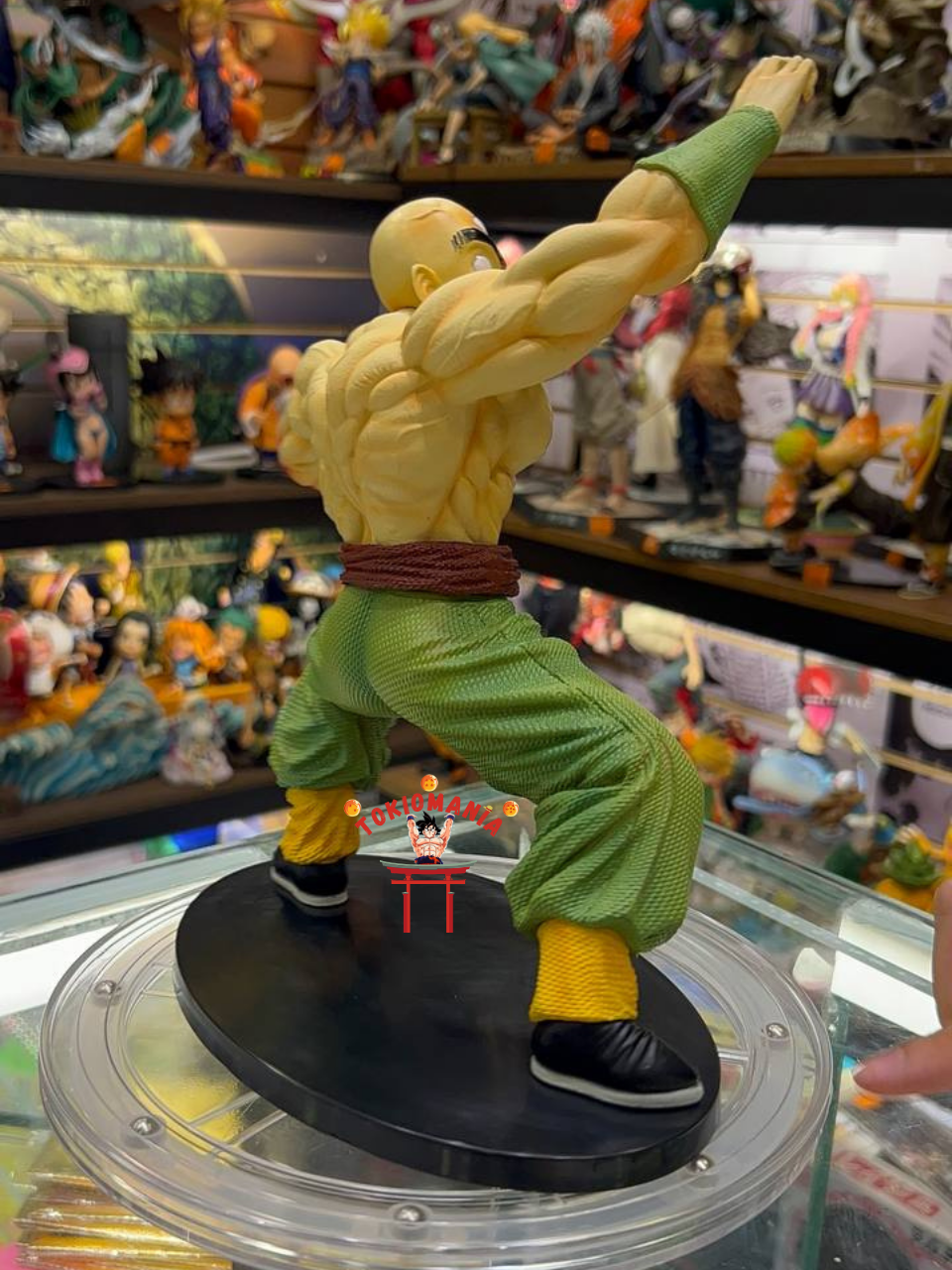 Figura Ten Shin Han