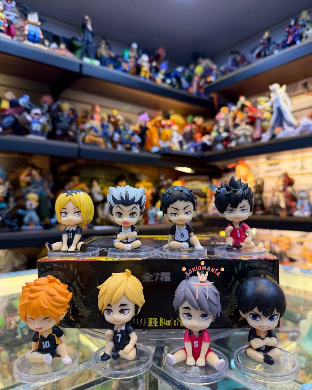 Colección Haikyu X8