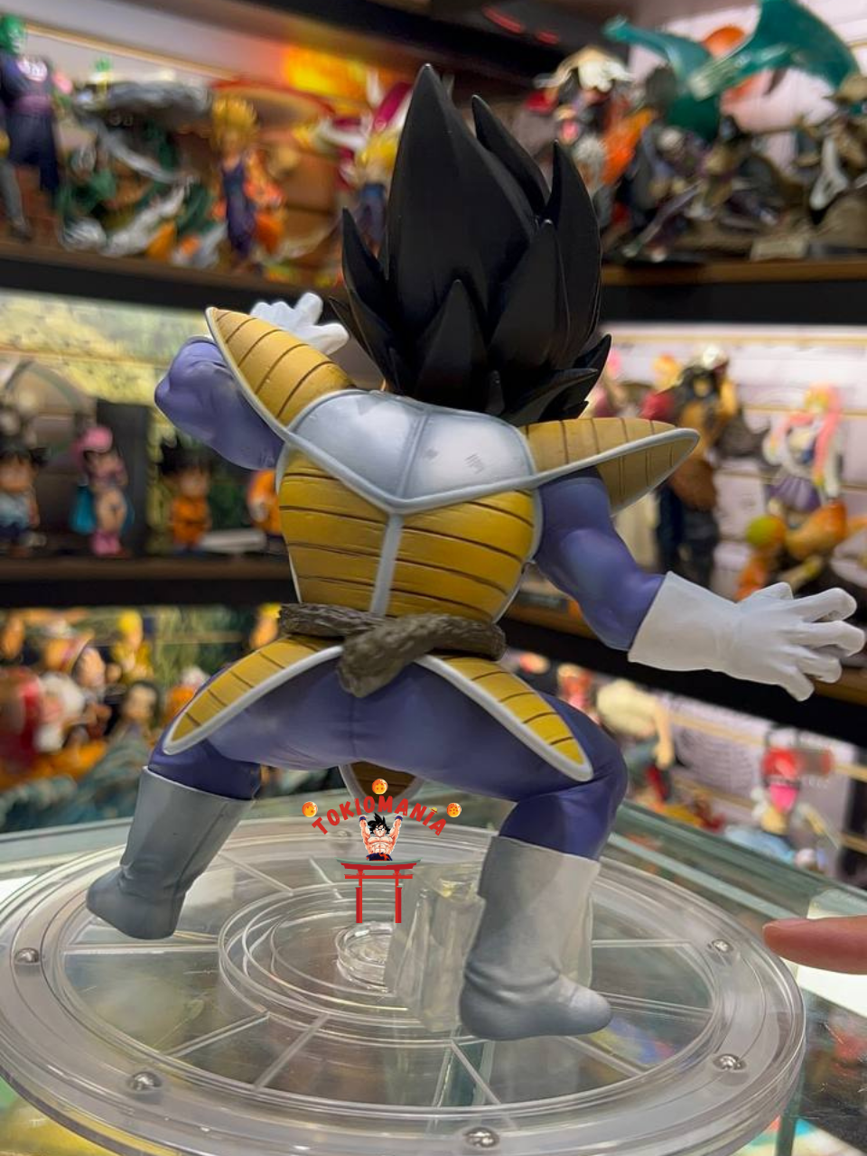 Figura Vegeta