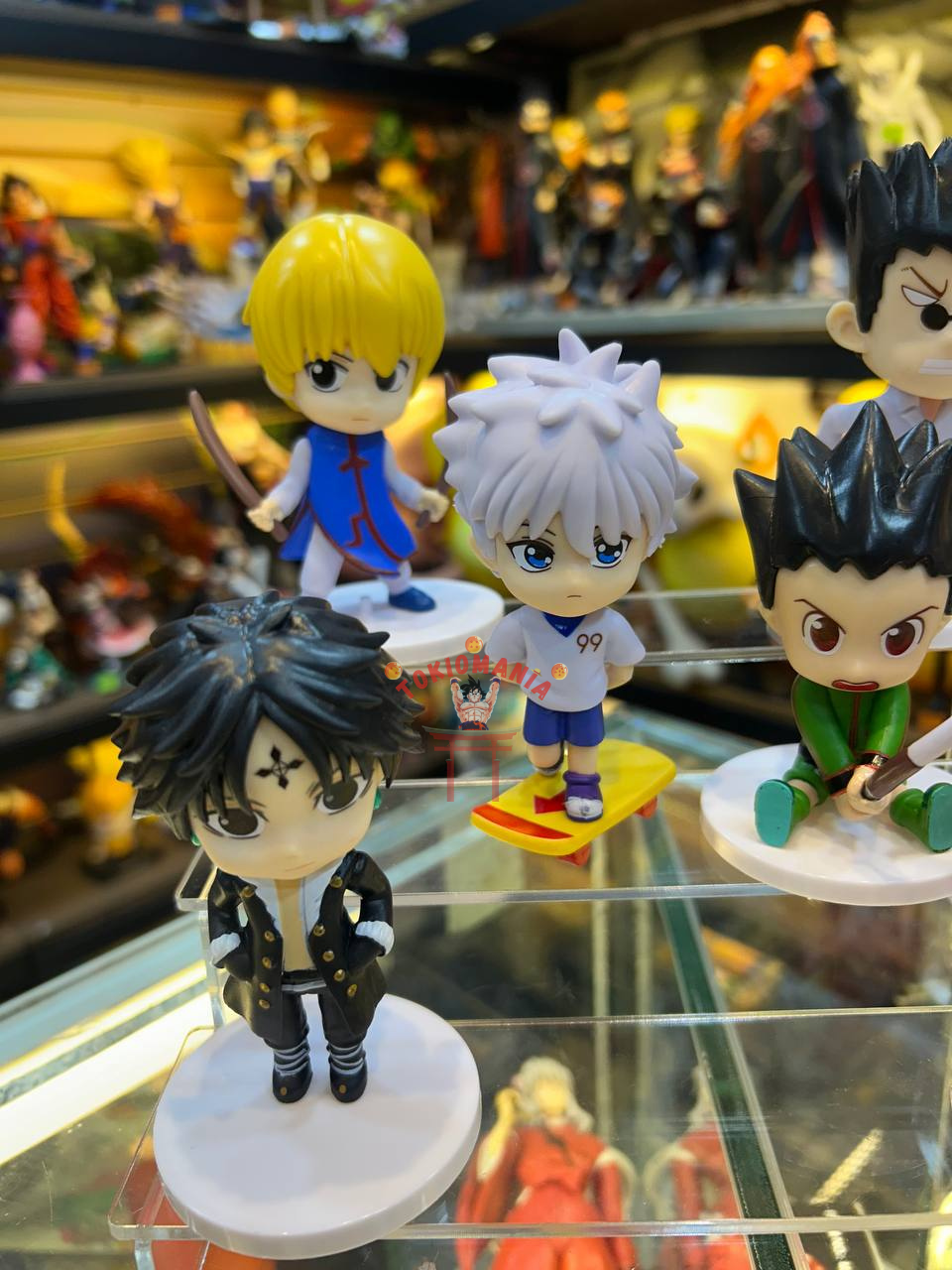 Colección Hunter x Hunter x6