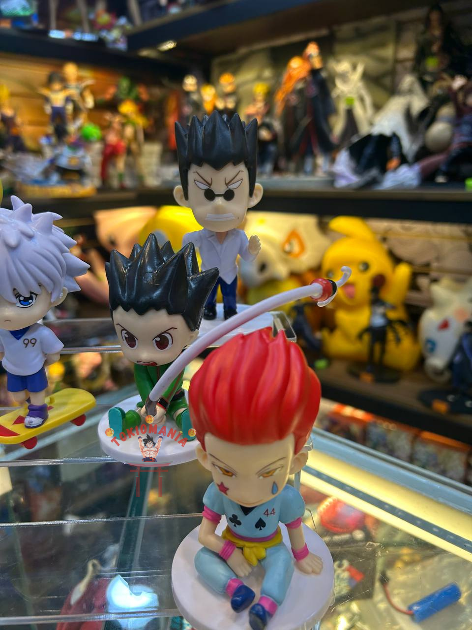 Colección Hunter x Hunter x6