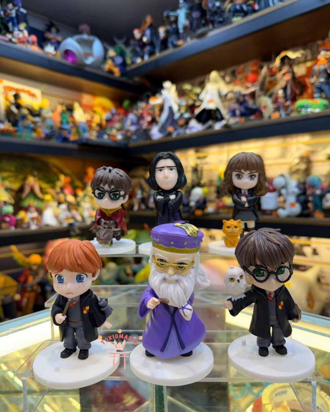 Colección Harry Potter X6