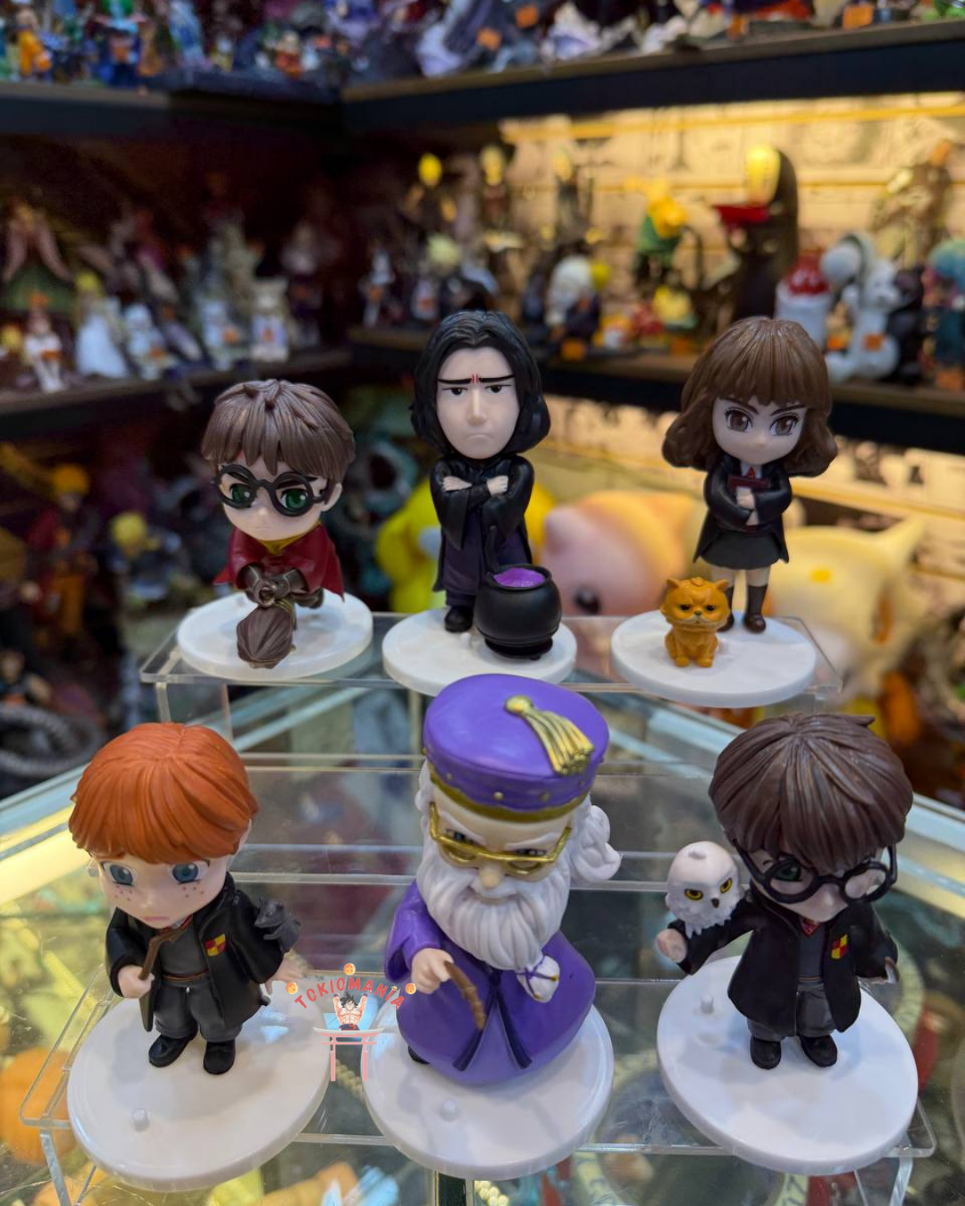 Colección Harry Potter X6