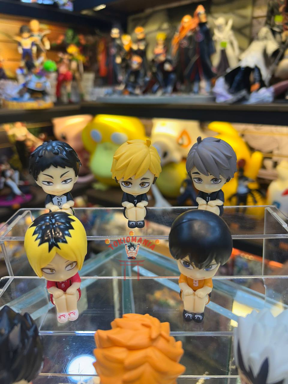 Colección Haikyu x8