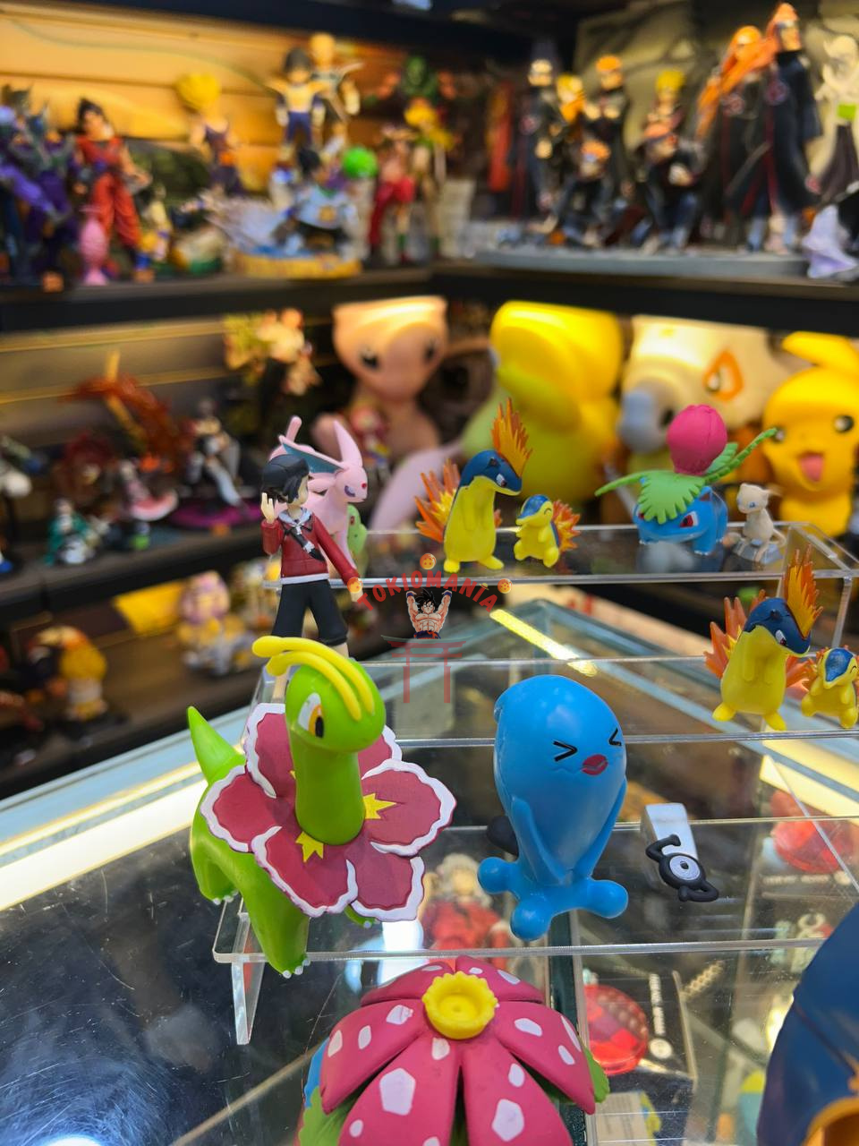 Colección Pokemon x15