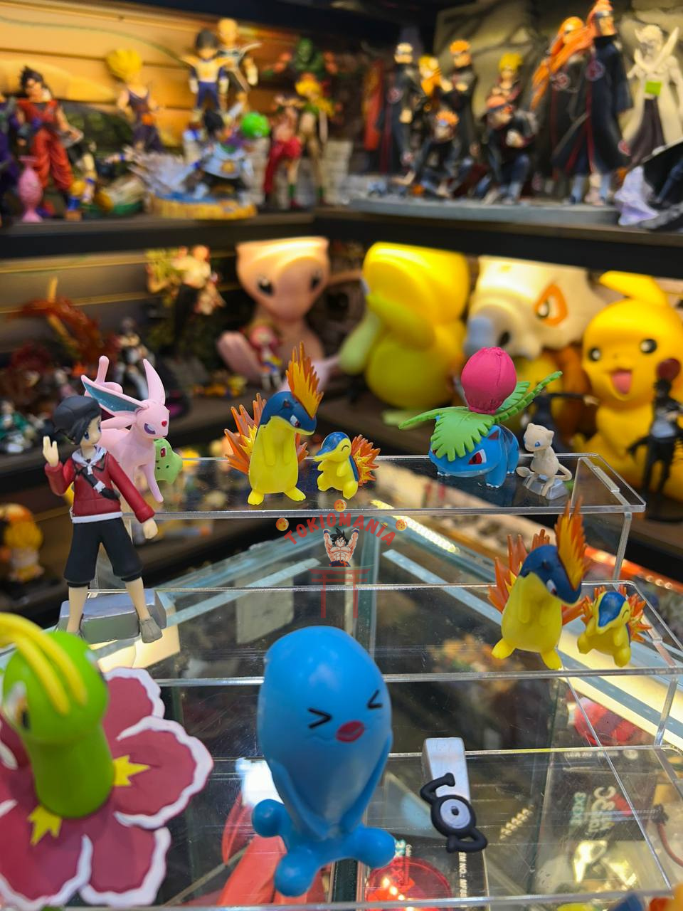 Colección Pokemon x15