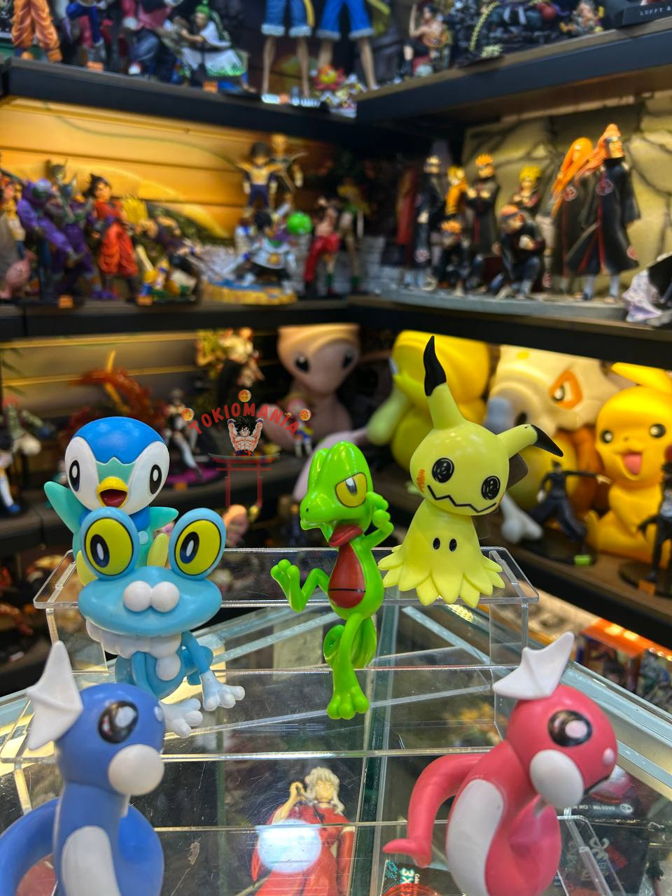 Colección Pokemon x6