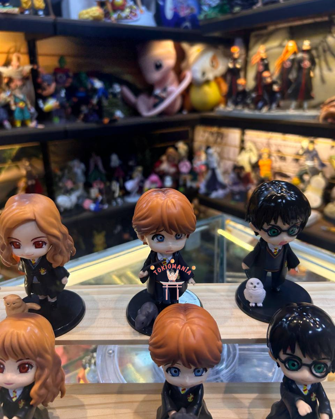 Colección Harry Potter X6