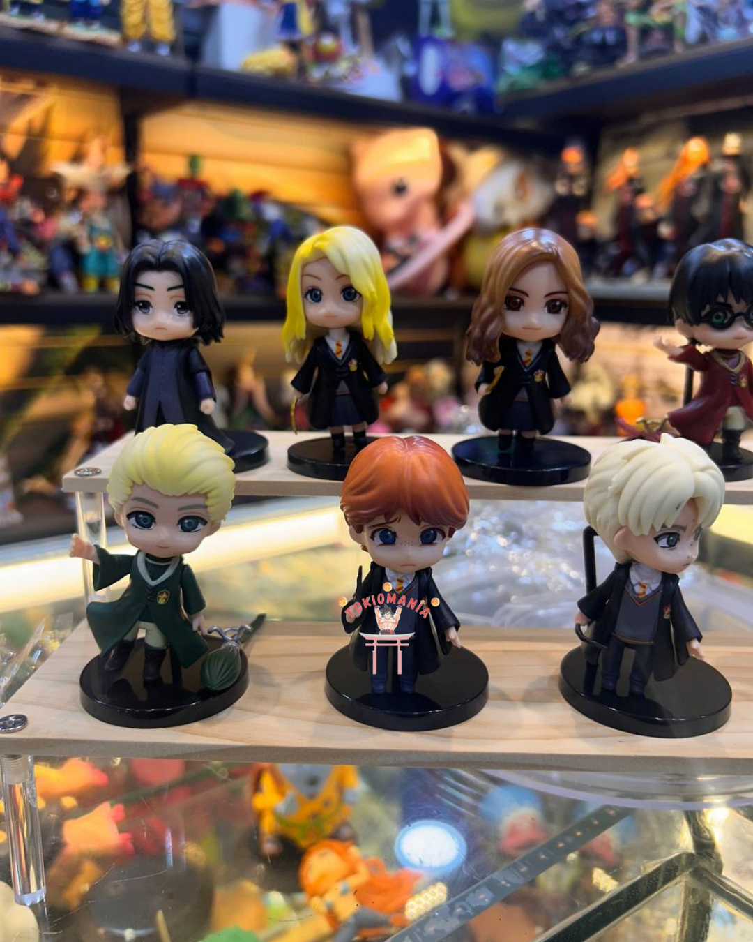 Colección Harry Potter X10