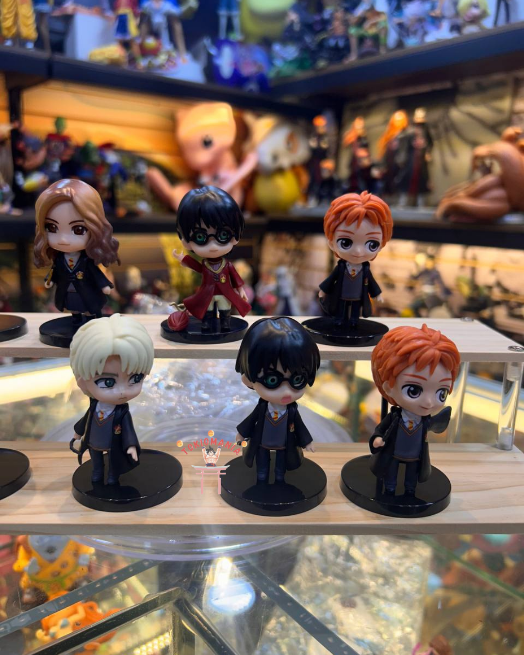 Colección Harry Potter X10