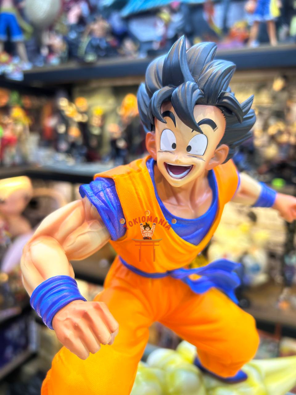 Figura Goku Grande