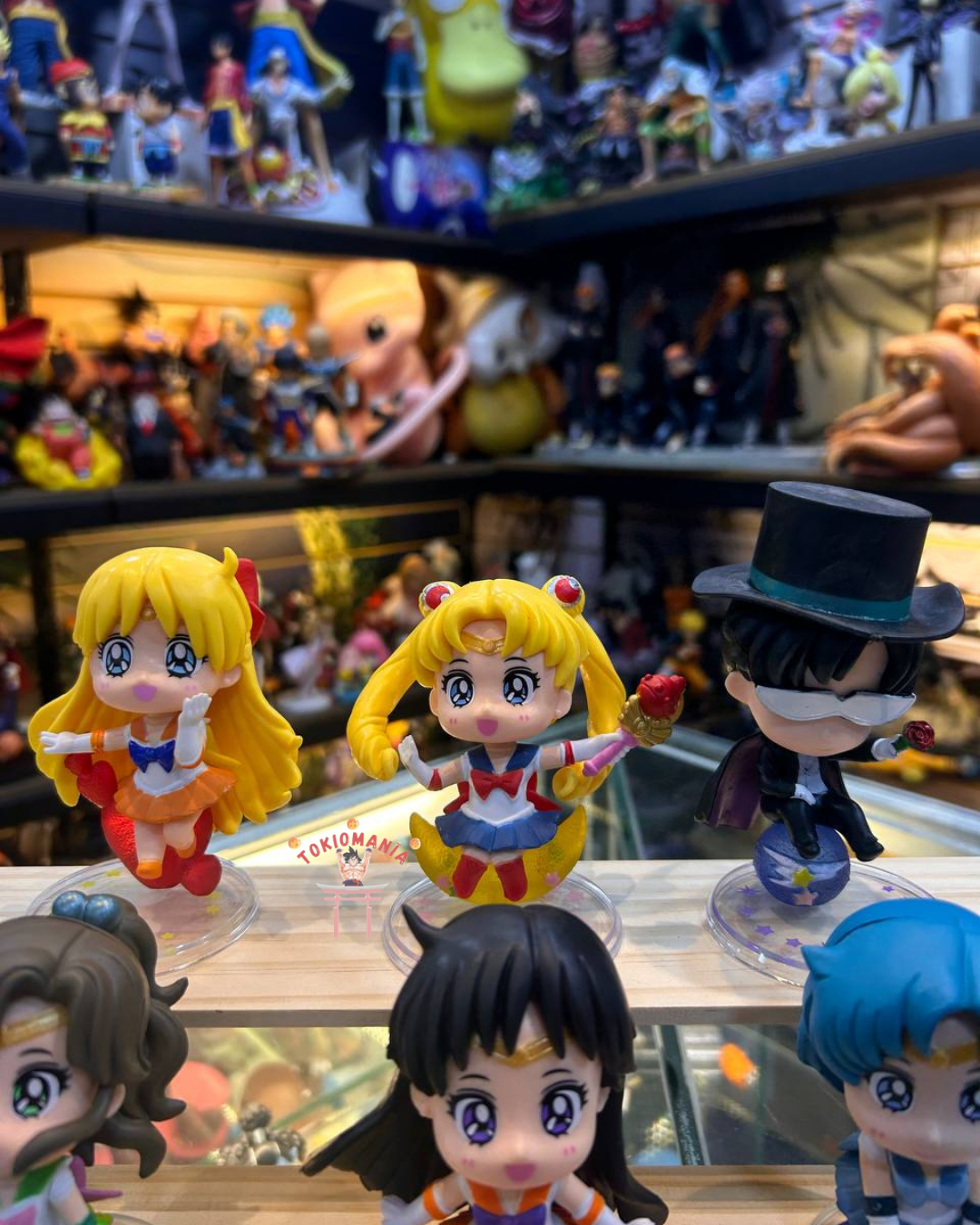 Colección Sailor Moon X6