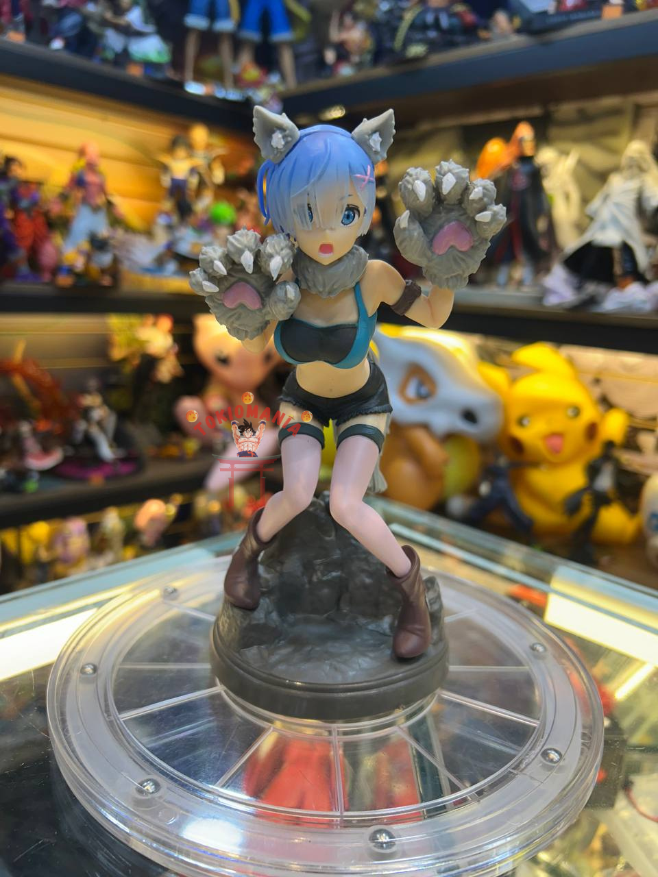 Figura Rem