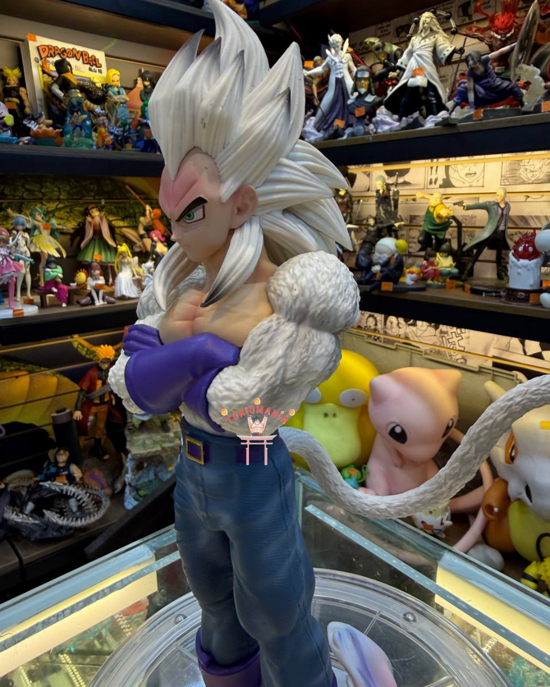 Figura Vegeta