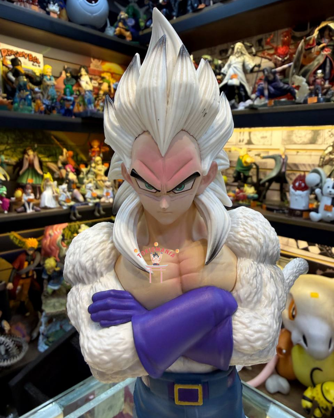 Figura Vegeta