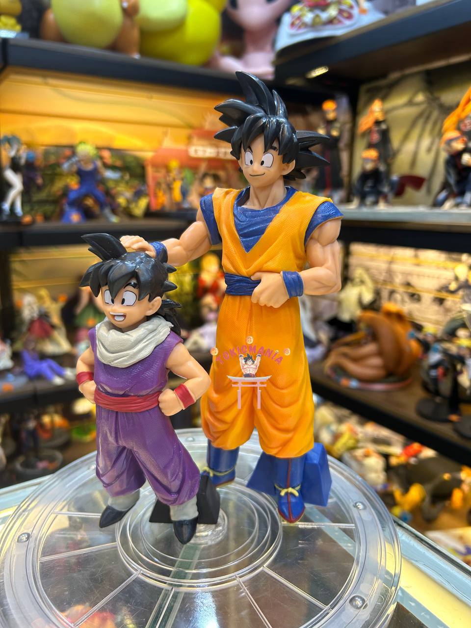 Figura Goku & Gohan