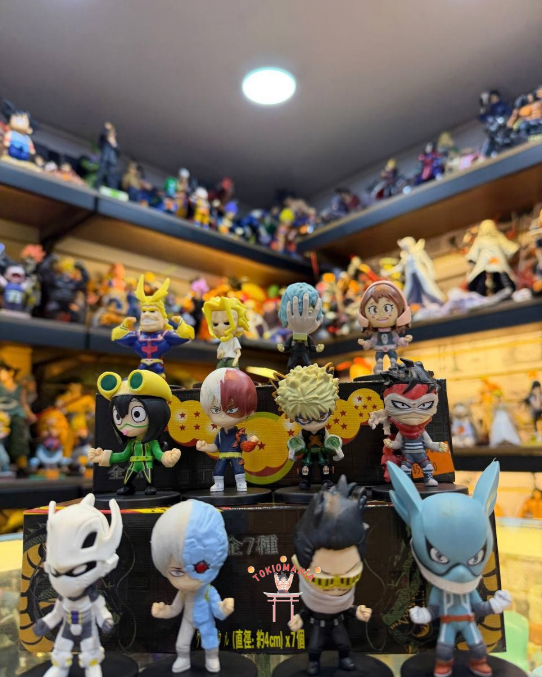 Colección My Hero Academia X12
