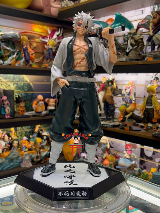 Figura Sanemi