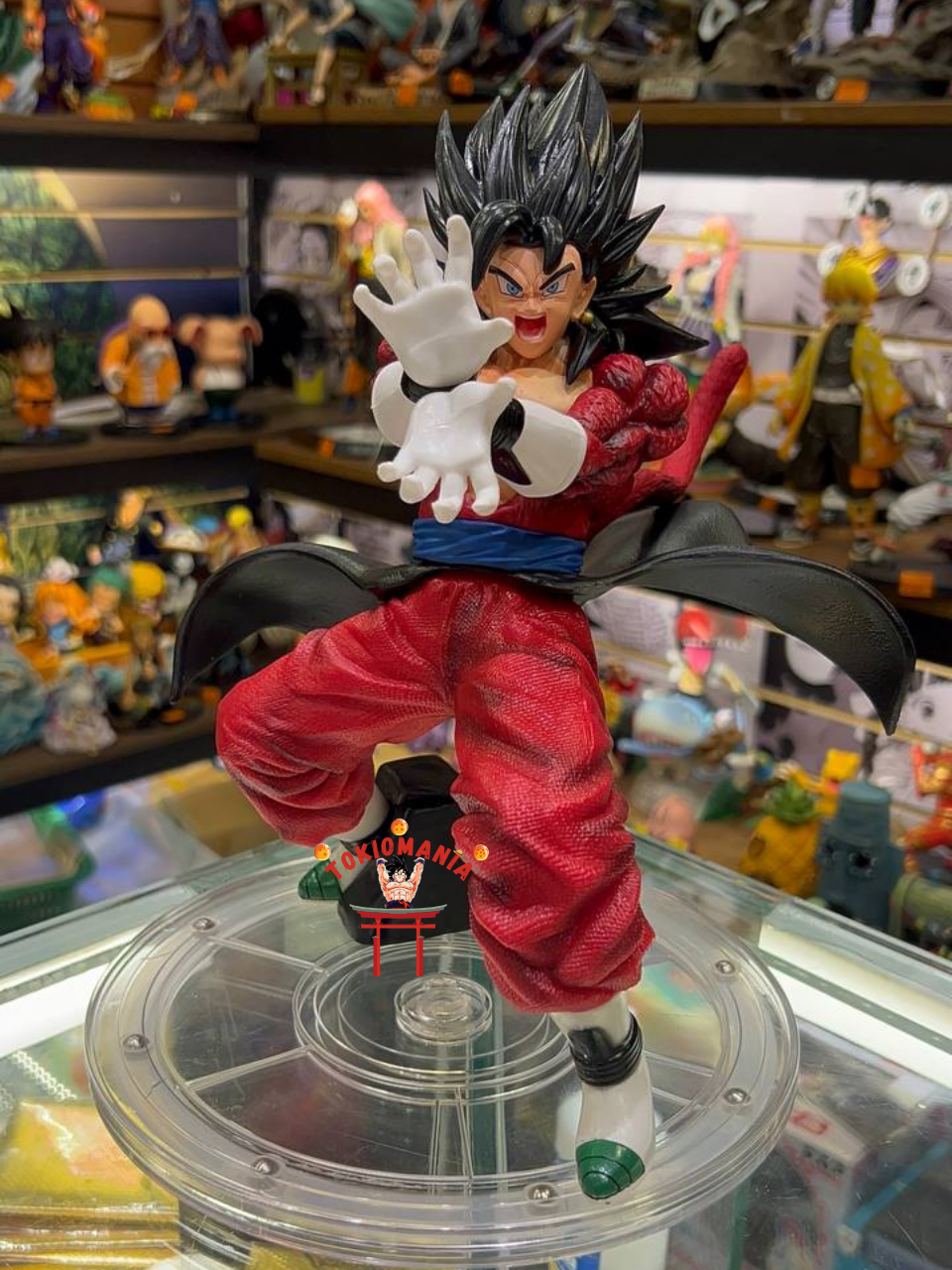 Figura Vegetto