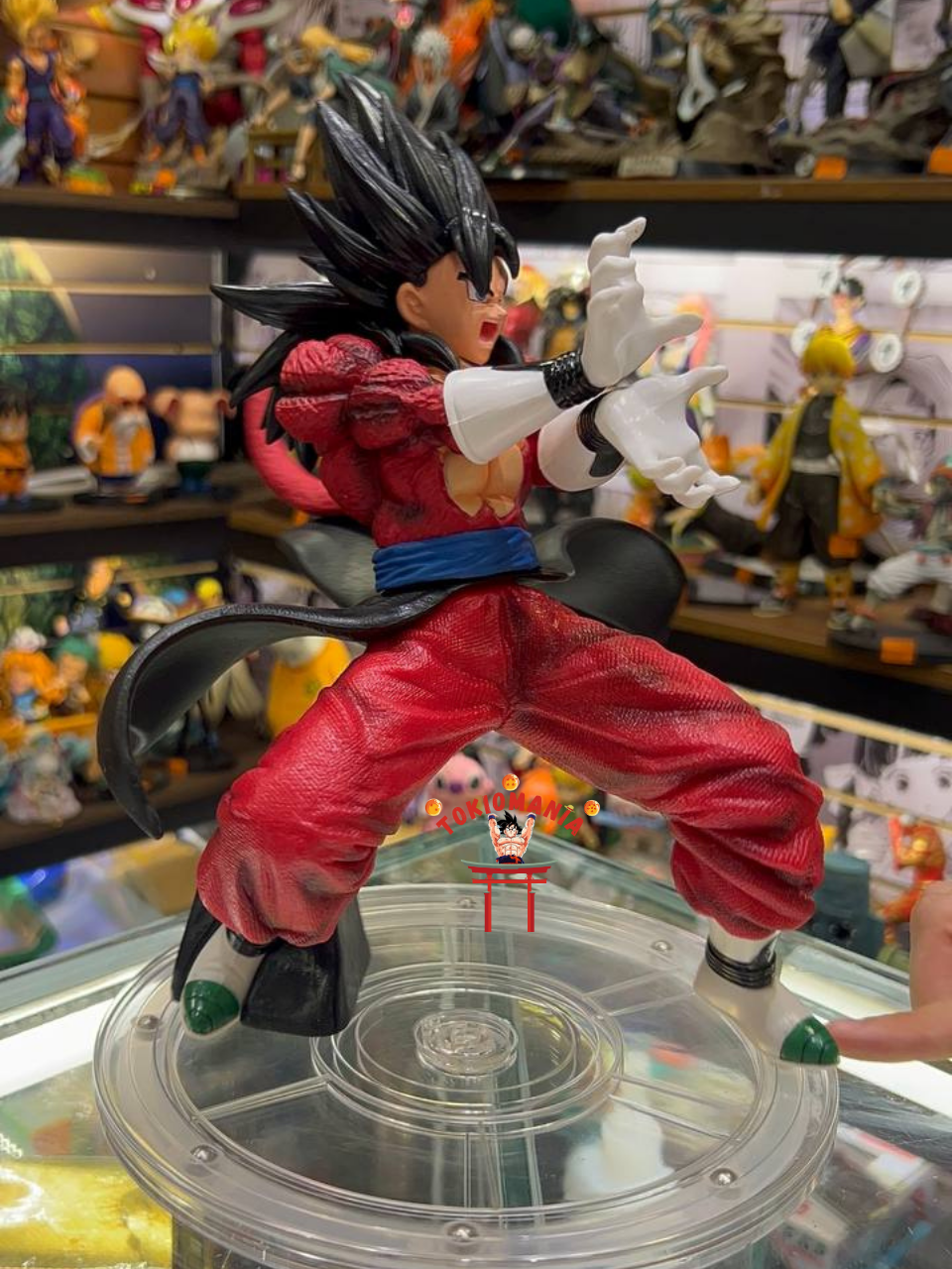 Figura Vegetto