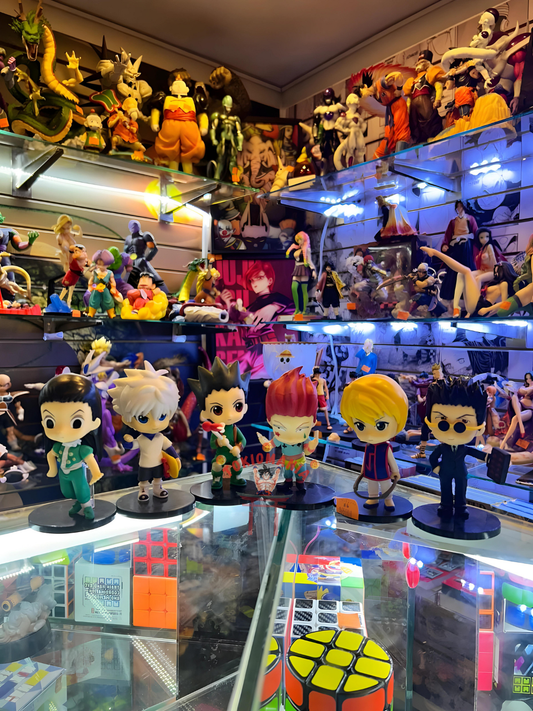 Colección Hunter x Hunter x6