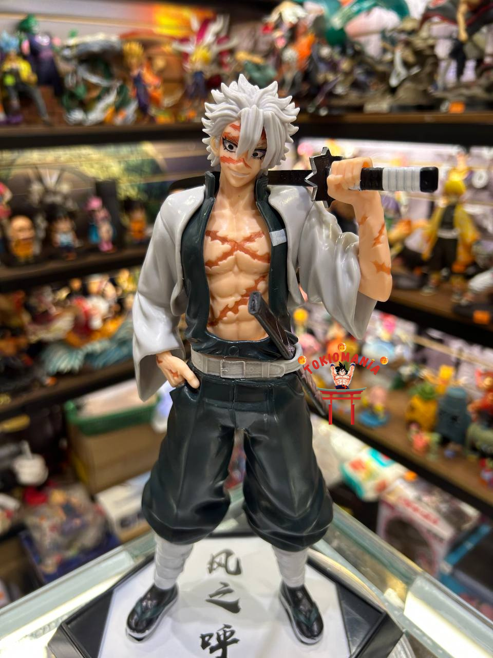 Figura Sanemi
