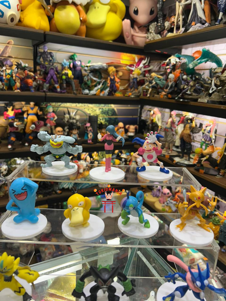 Colección Pokemon x14
