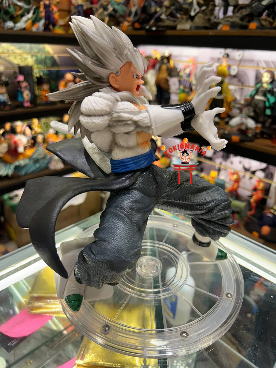 Figura Vegetto