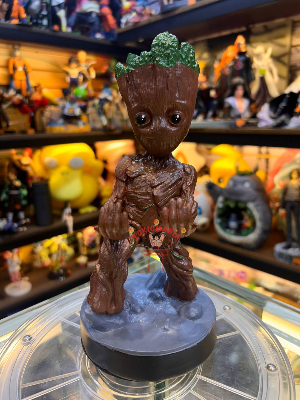 Groot Reposa Consolas