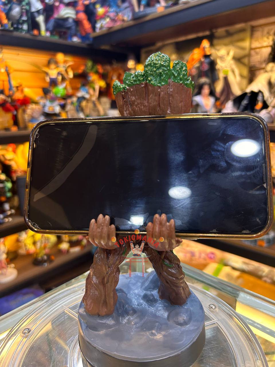 Groot Reposa Consolas